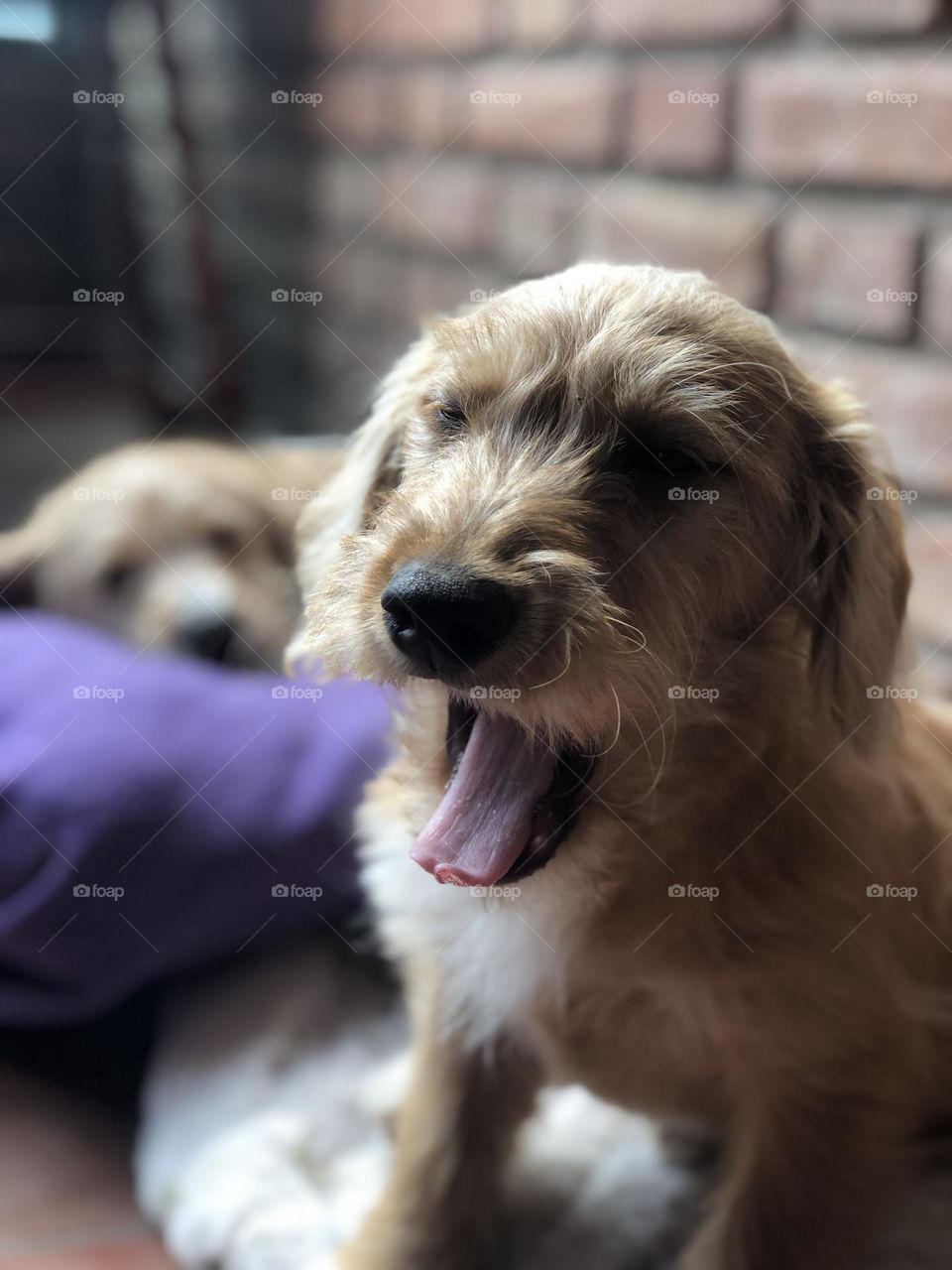 Con mucho sueño 😴