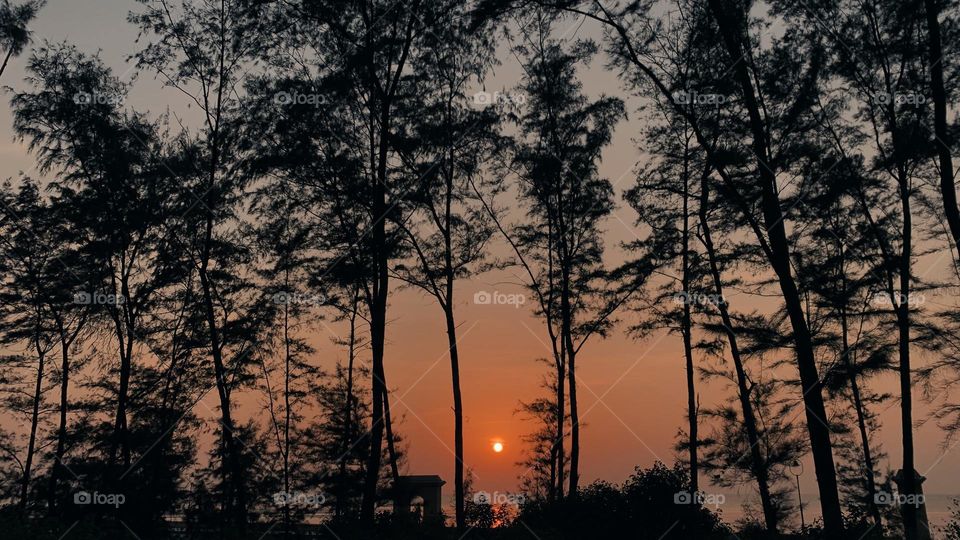 tardezinha de autono