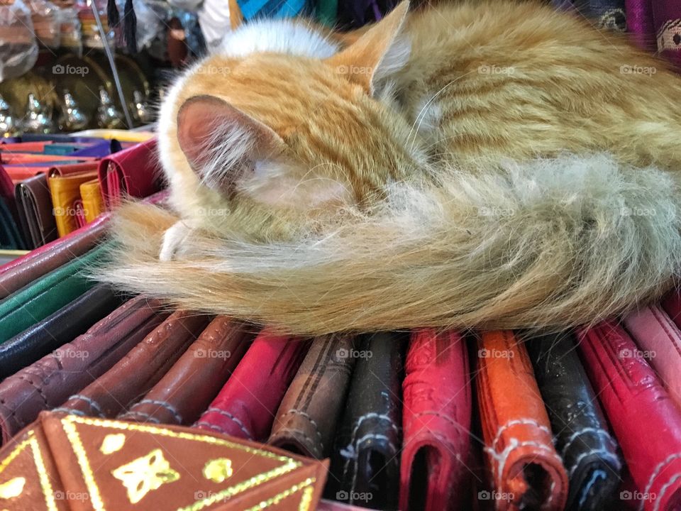 Motley, Color, Stock, Yarn, No Person