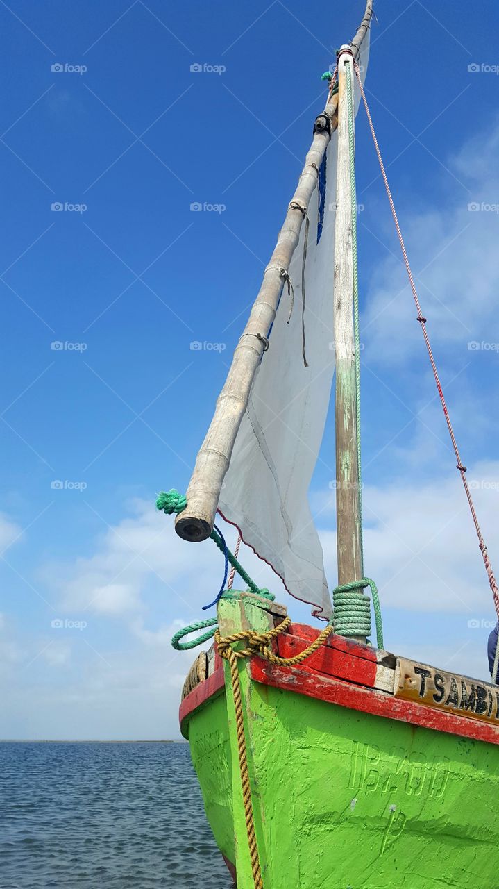 Bright Sailboat