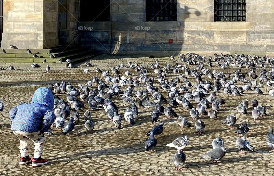 The Pigeon Whisperer