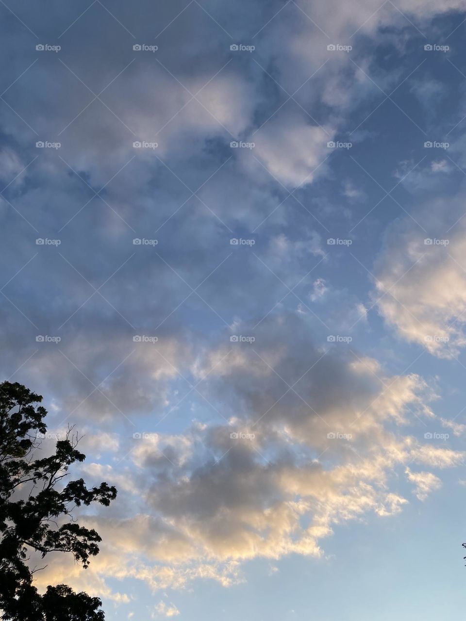 Summer in the city with sky