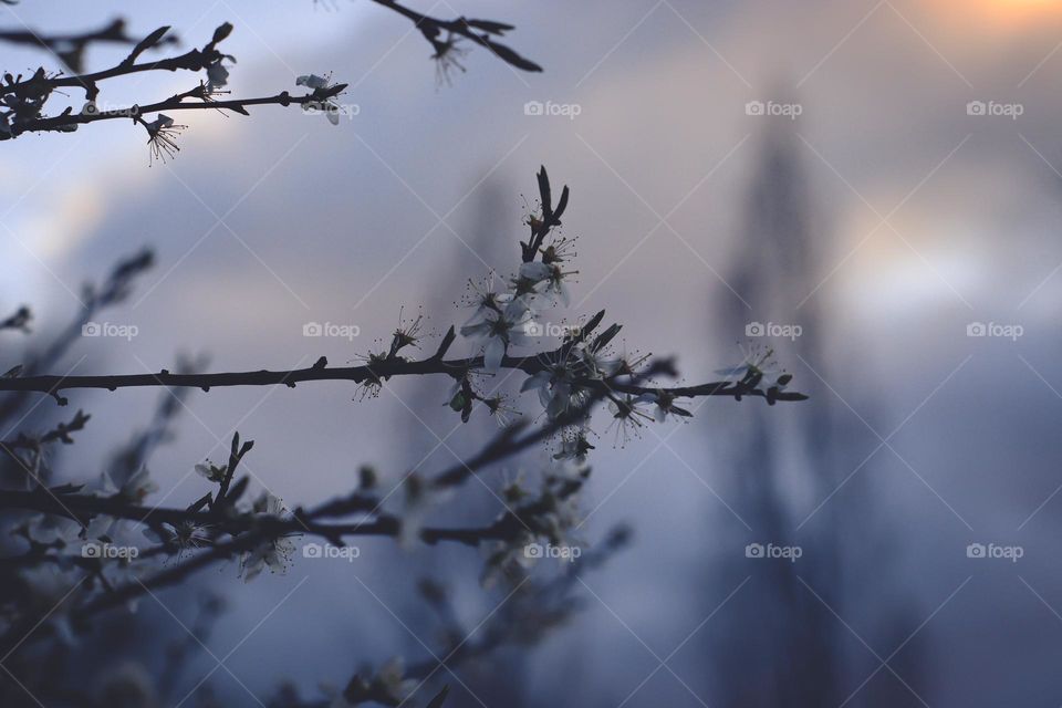 Spring is coming slowly