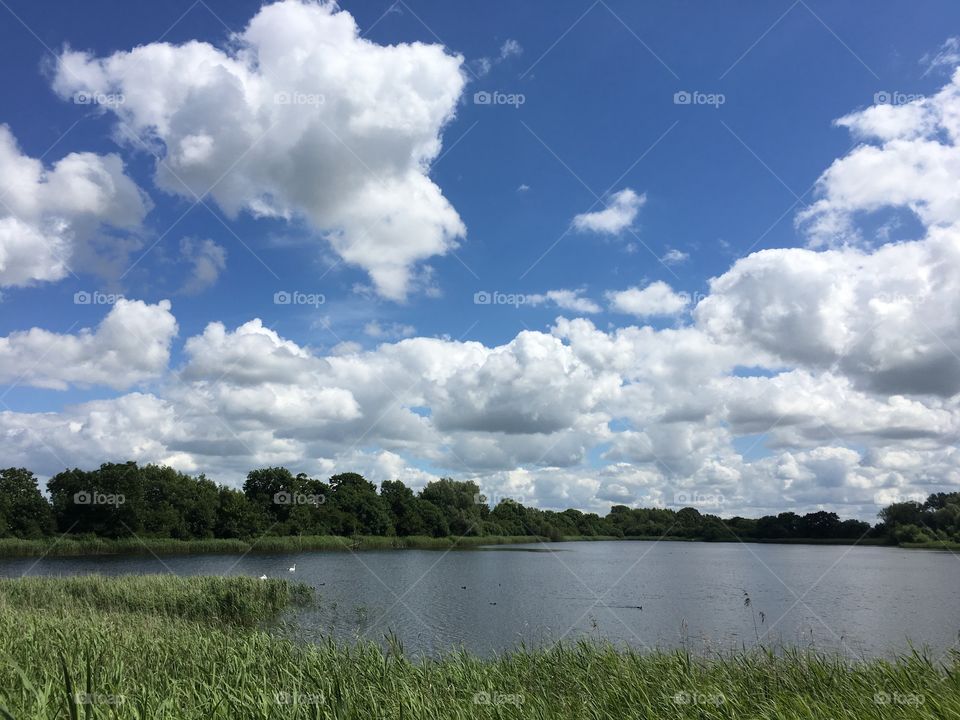 Looking out over the lake with ducks and swans, Cotswolds, UK