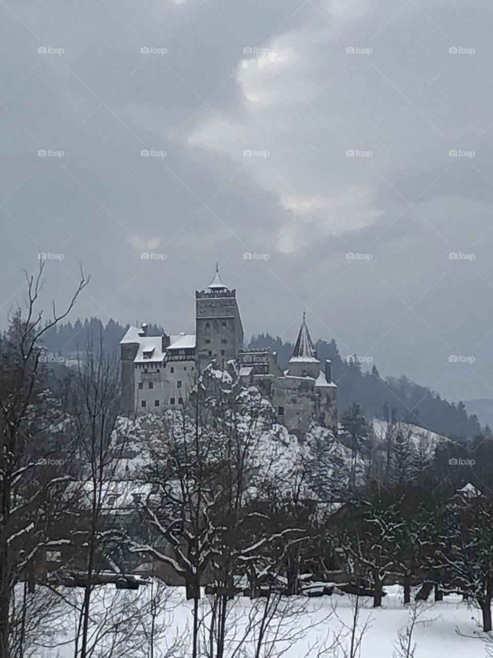 Dracula’s castle 