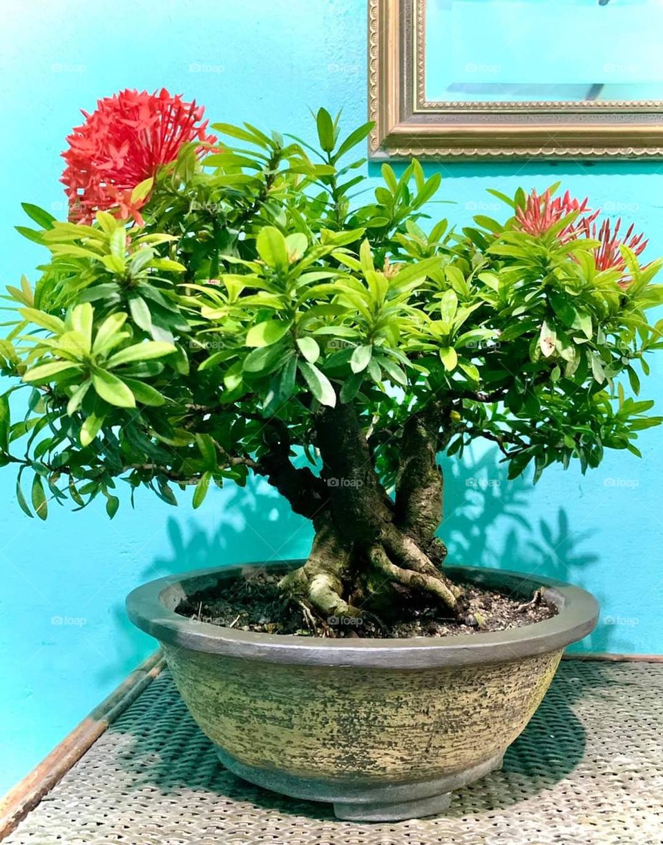 foap mission challenge