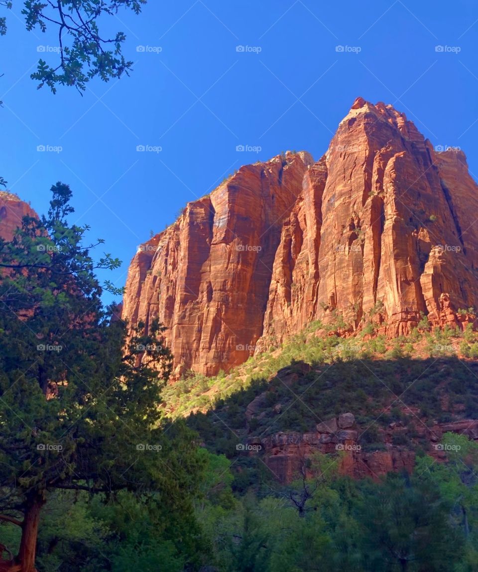 Zion National Park