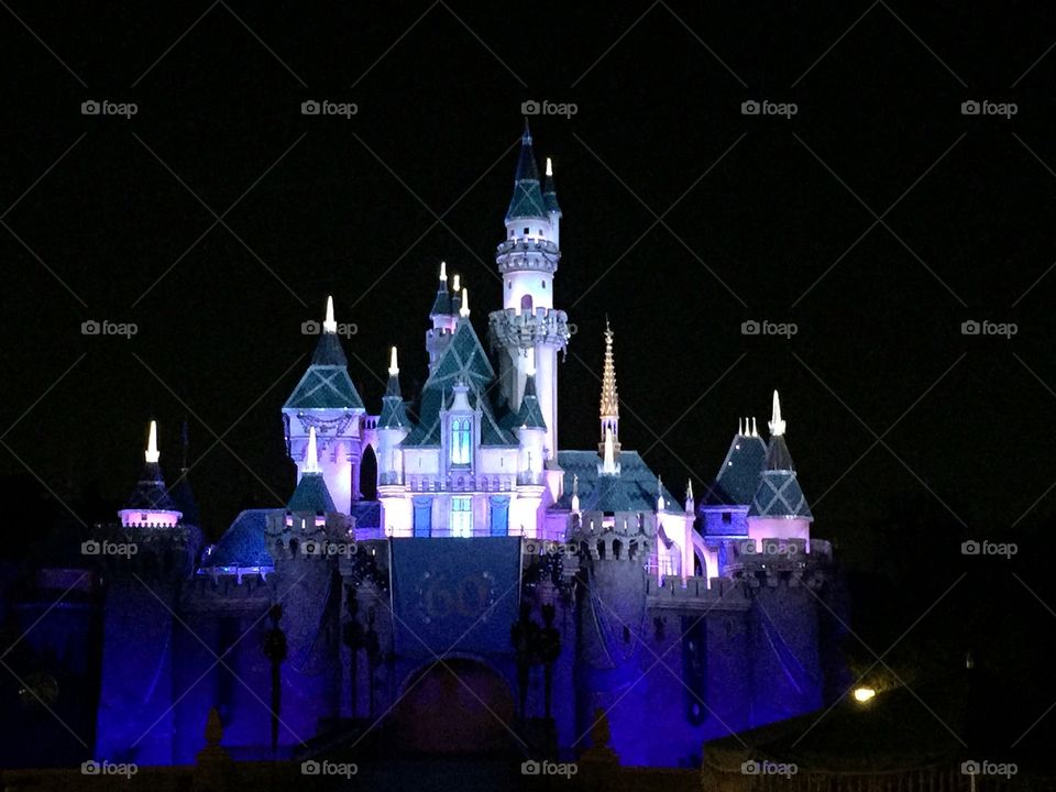 Disneyland castle at night, wintertime 