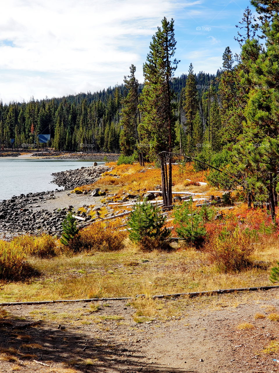 Brilliant fall colors of a landscape on the shores of Elk Lake in Oregon’s Cascade Mountains