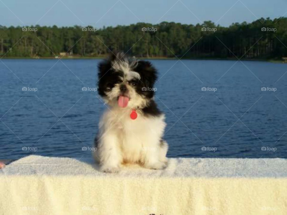 Having a nice time down at the lake.