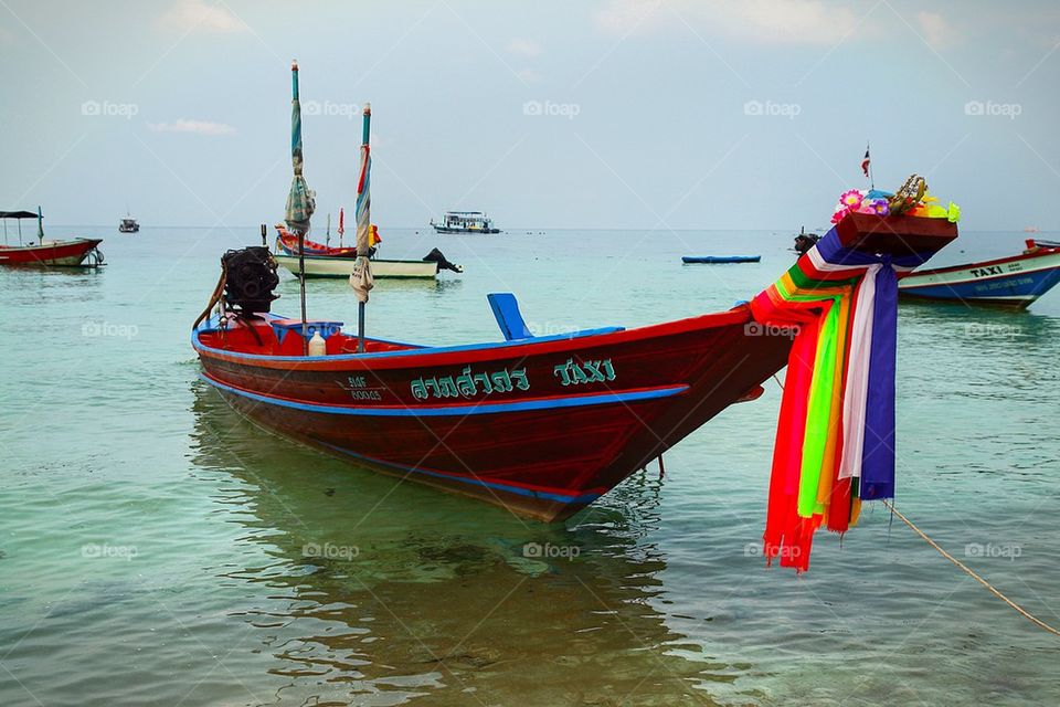 Koh tao