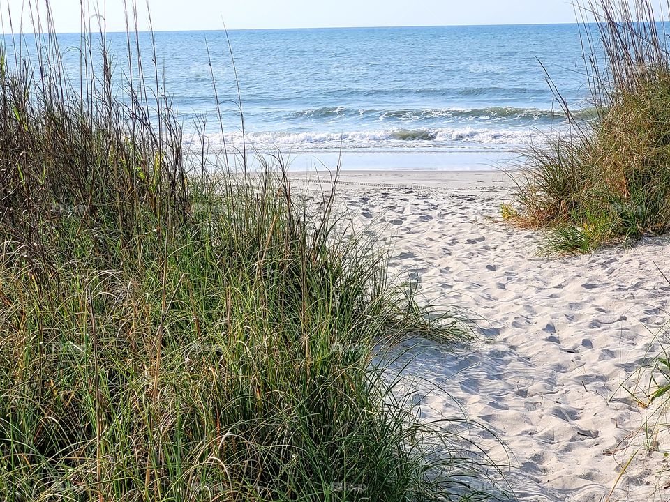 path to beach