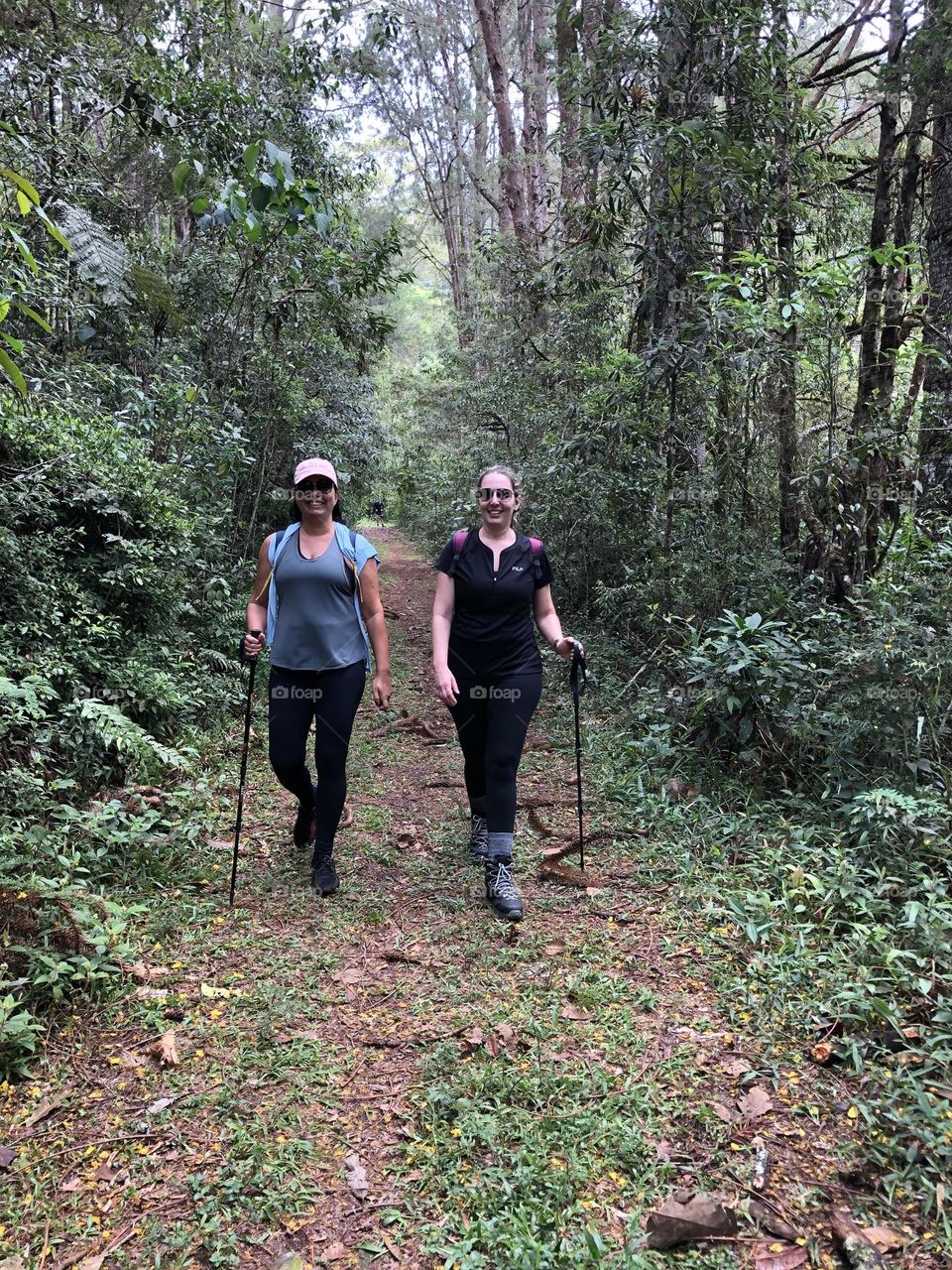 Caminhada na natureza.