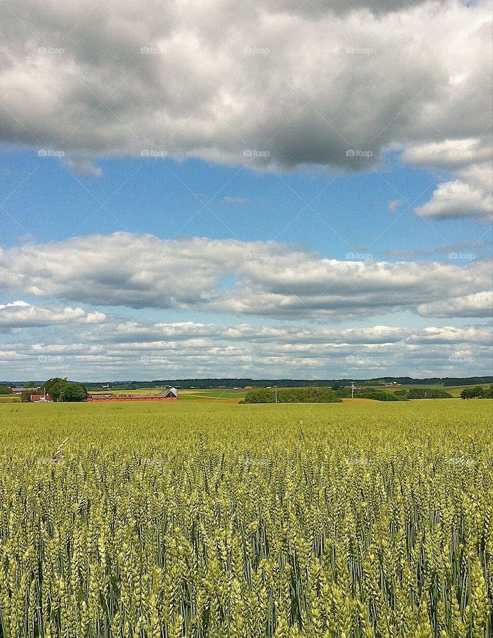 sweden sommar summer landskap by smartini65