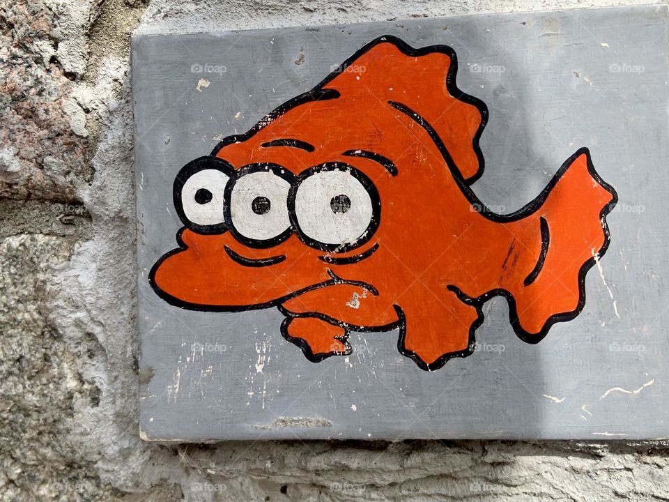Red fish with three eyes 