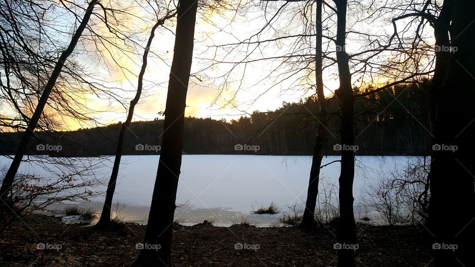 Sunrise in the forest by the lake.