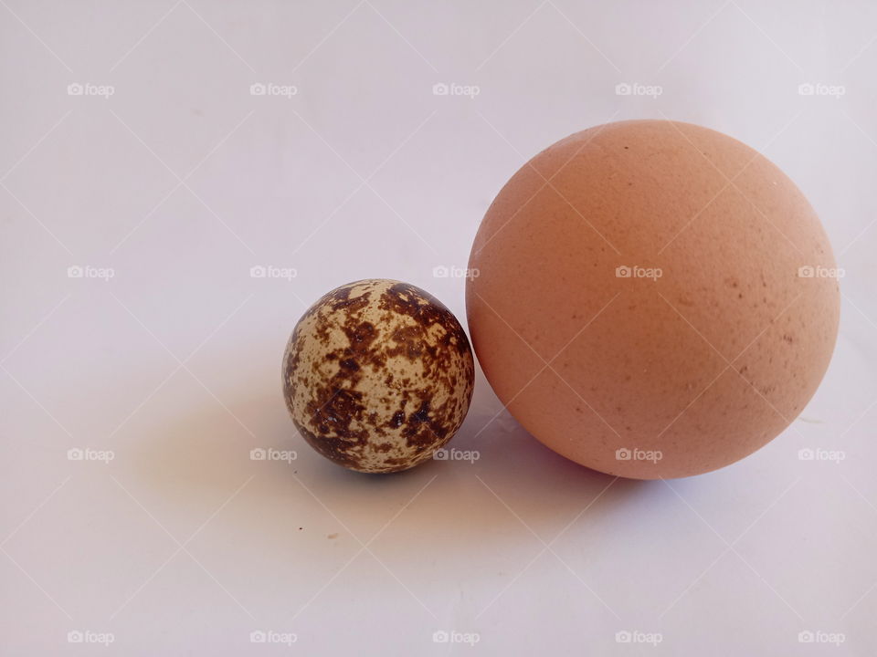 Quail's egg and chicken's  egg
