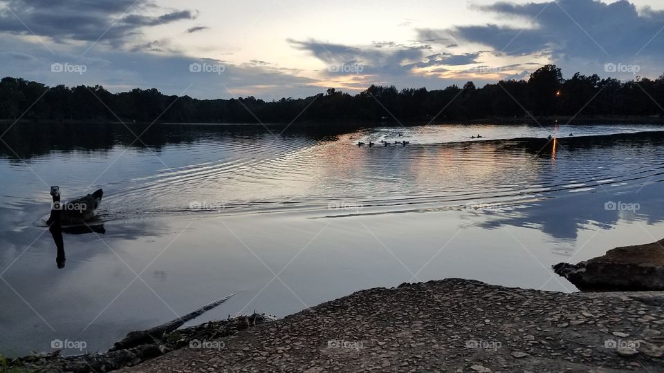 A peaceful evening on the lake