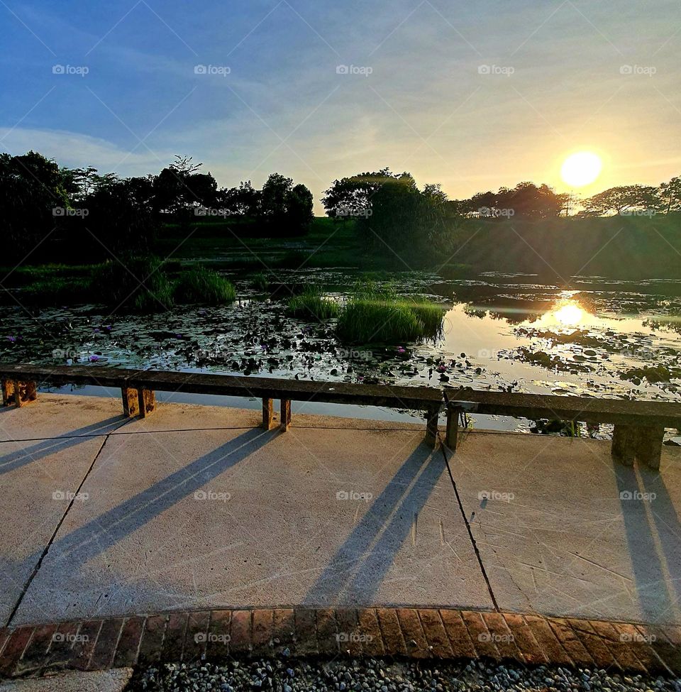 Lake at the Park