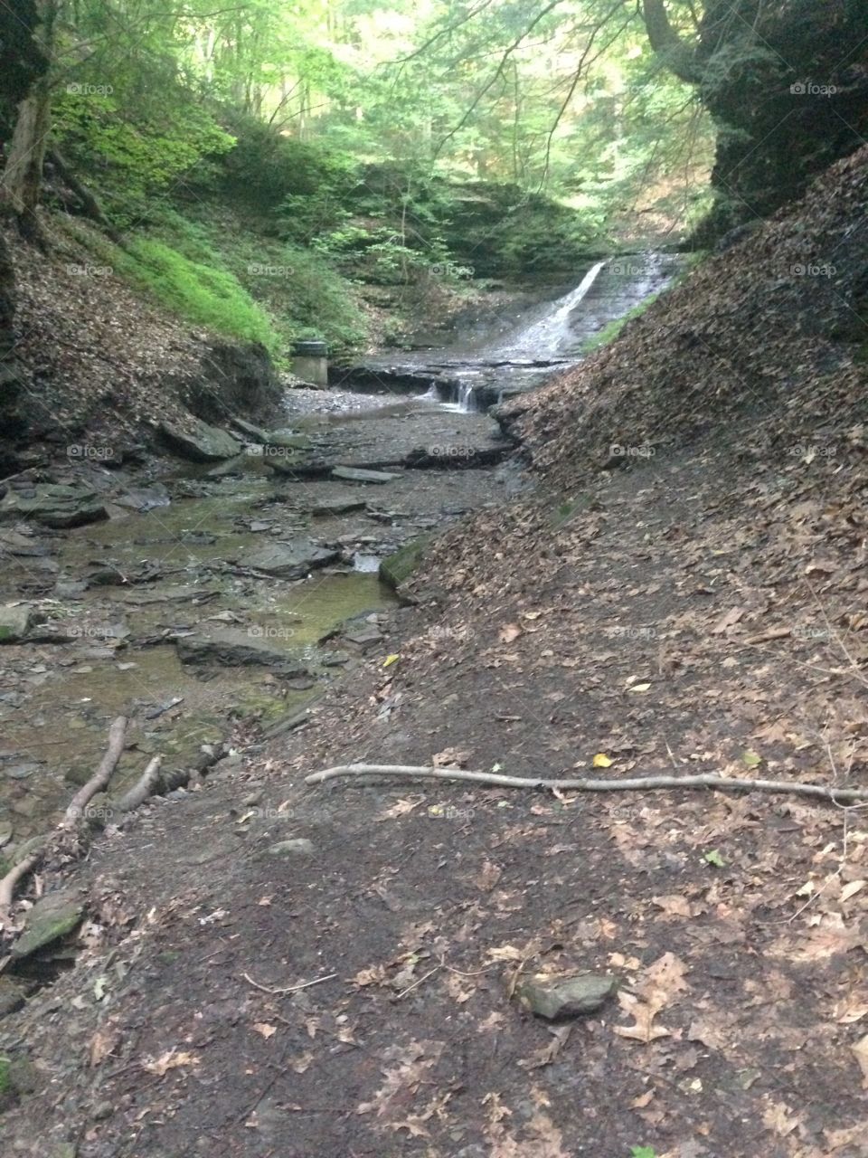 Chasing waterfalls. This beautiful gem is hidden in the depths of a Boy Scout camp