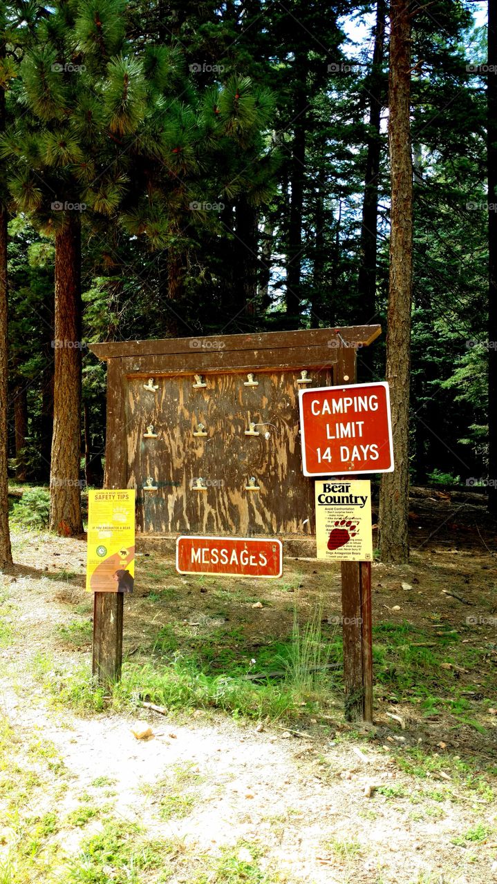 Camping sign. Bear warning sign.