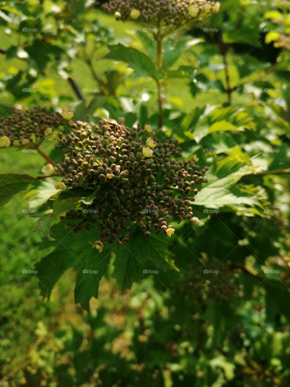 now is the summer here 😀