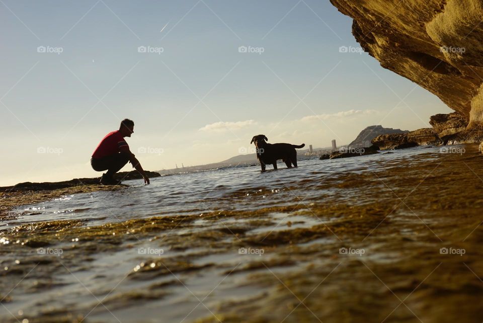 Sea#rocks#human#dog#friends