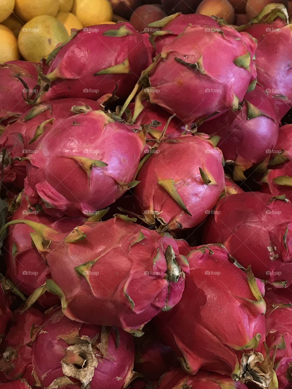 Mexican fruit pitaya exotic tuna