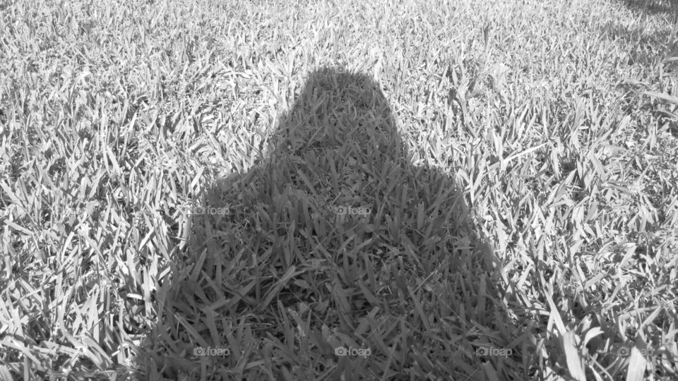 Shadow of myself 