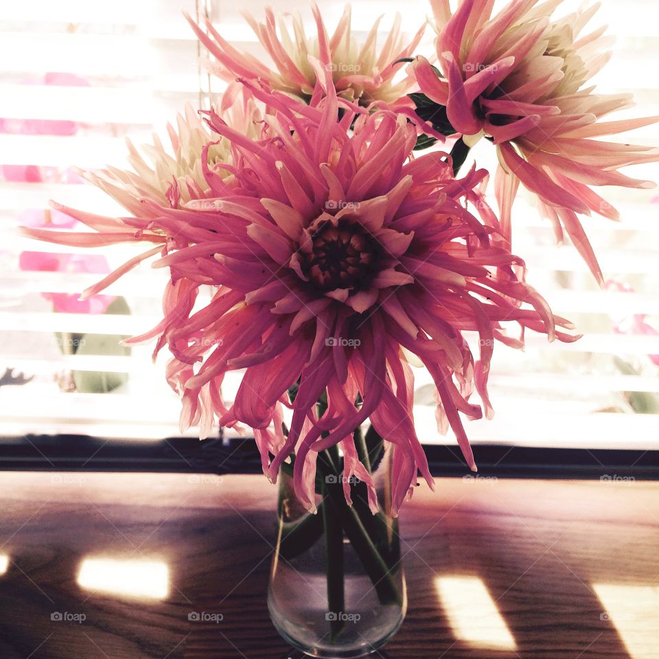 Summer indoor in Sweden