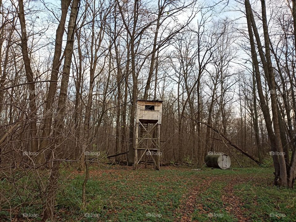 Observation tower in the forest