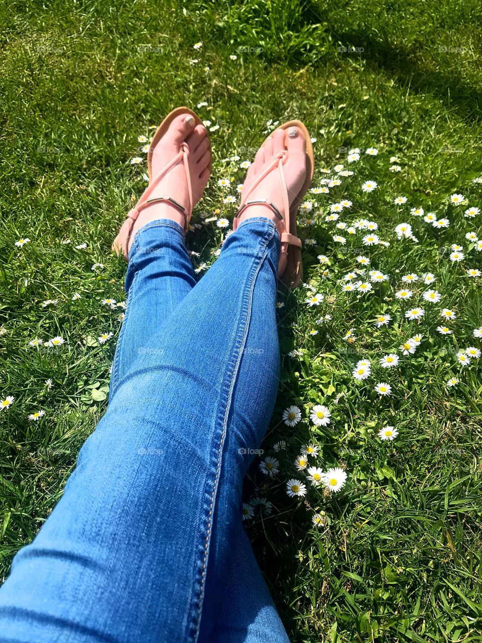 Feet in daisys