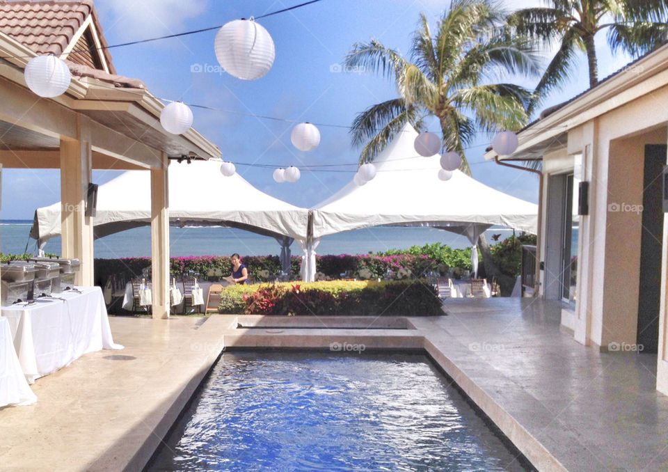 sky party outdoor tree by tshfkym