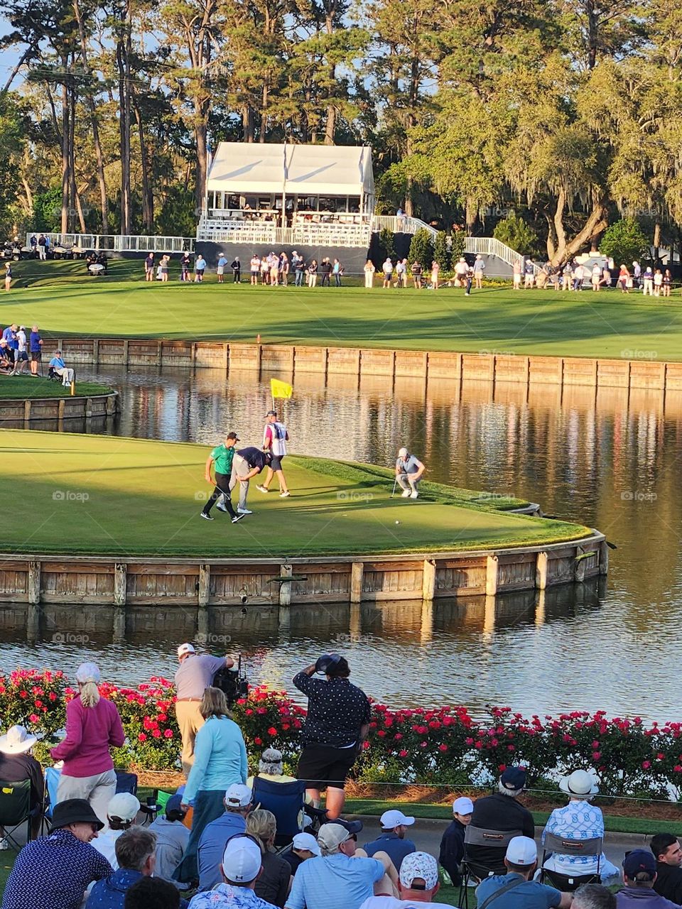 Sawgrass TPC