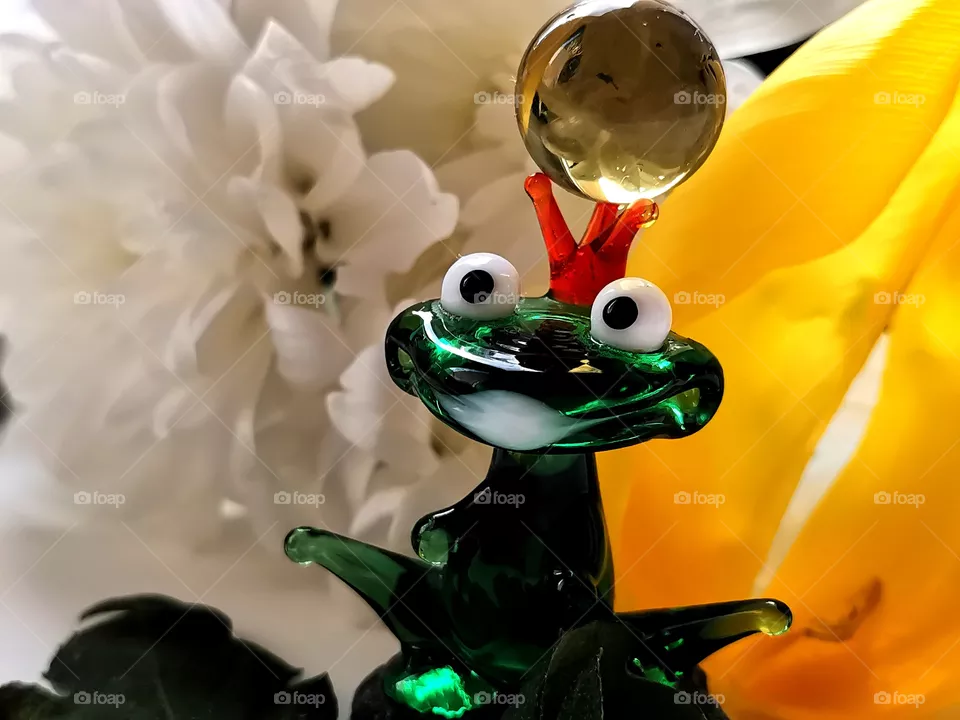 Queen of frogs