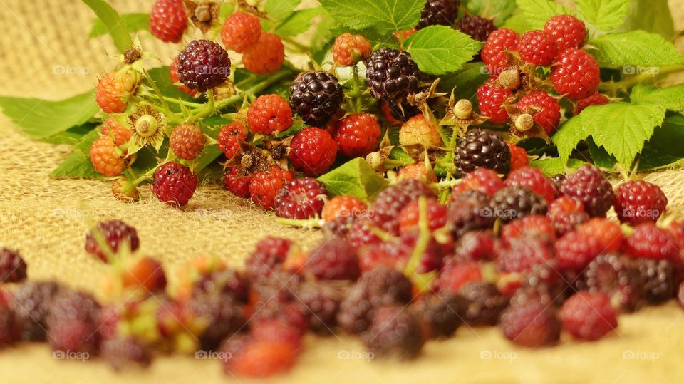 Fresh blackberries with leaves