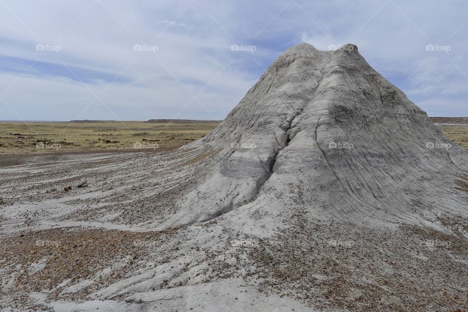 Petrified forest 