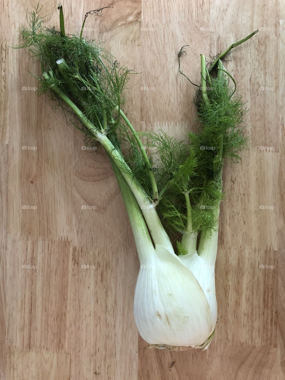 Fennel