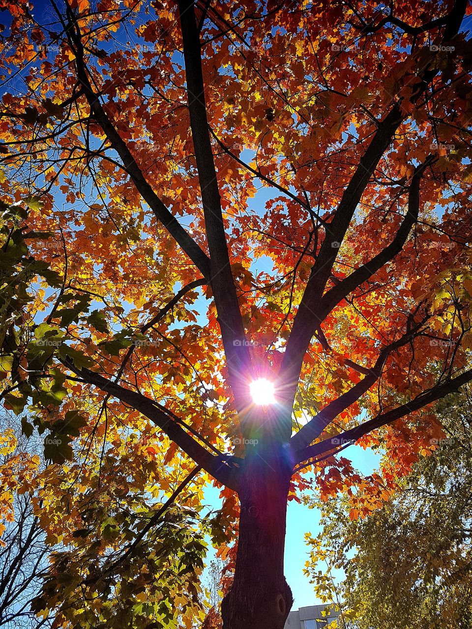 What a beautiful Autumn we've had