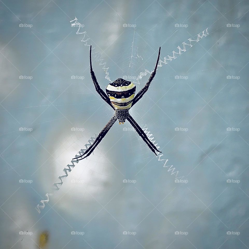 image captured by Galaxy S23 Ultra
edited with ipad4