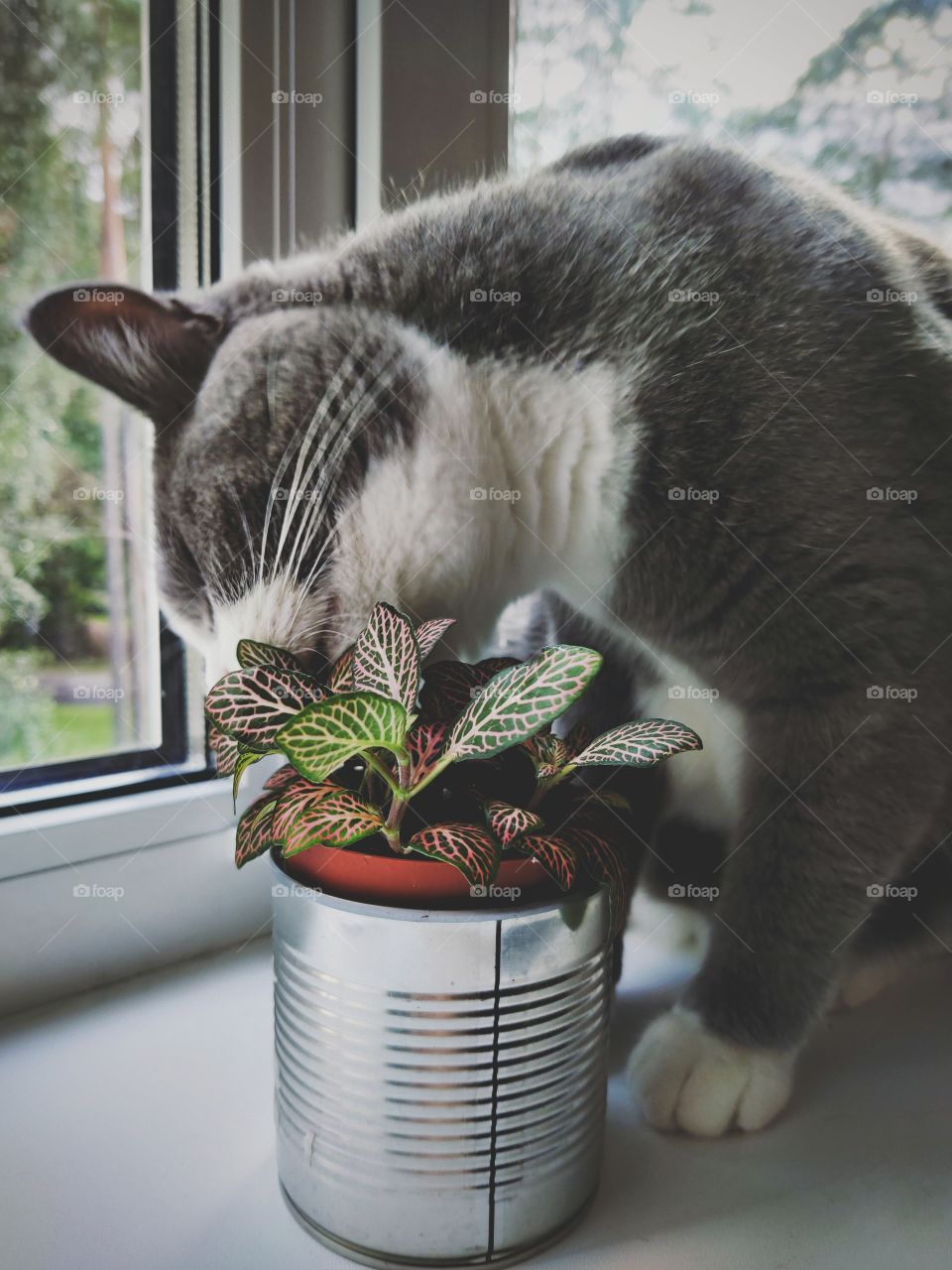 Forget about nice flowers