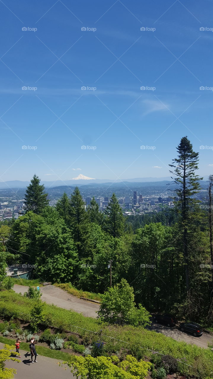 Mt Hood from Pittock Mansion