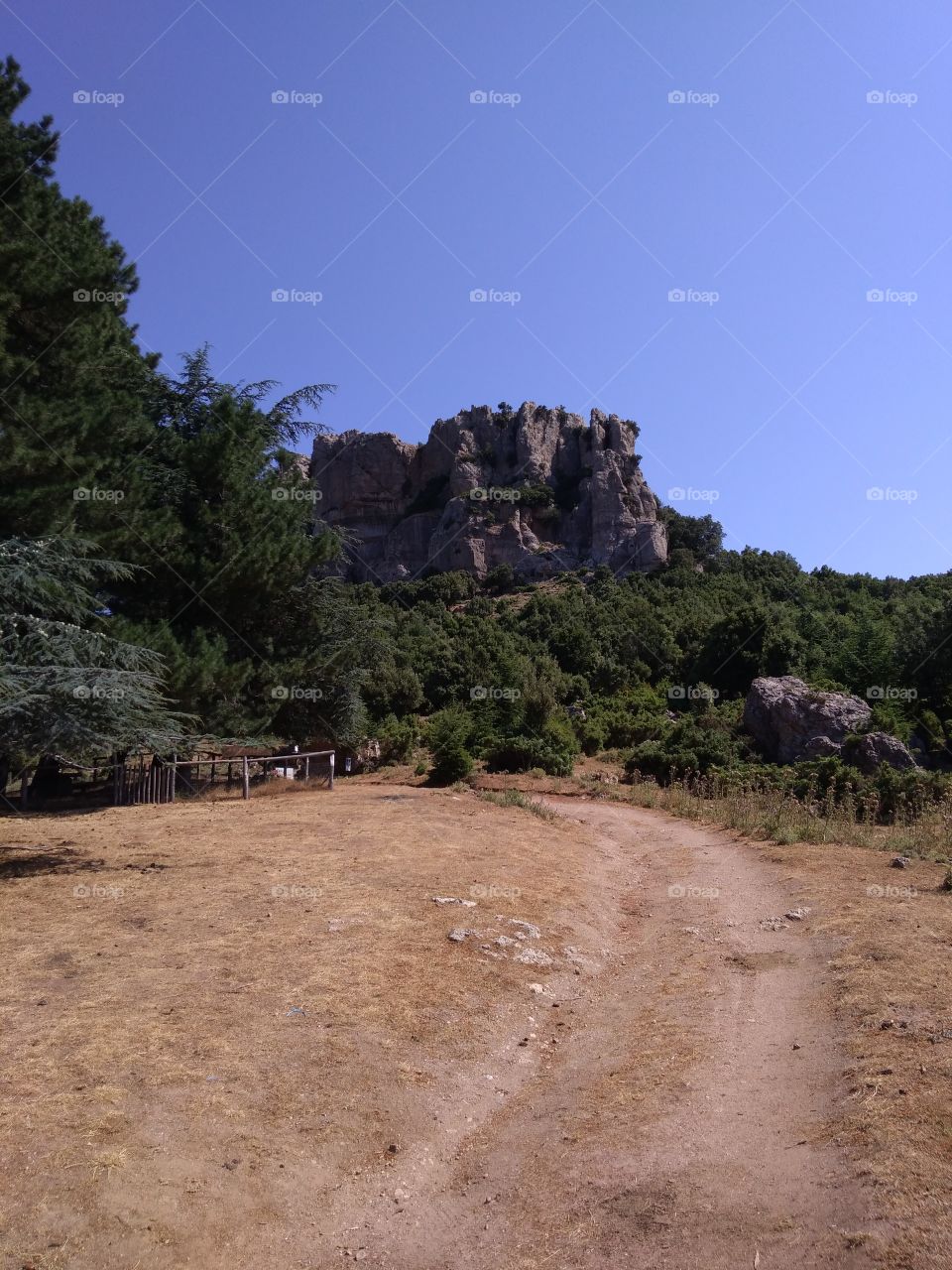 Going to Monte Novo San Giovanni, Orgosolo, Nuoro