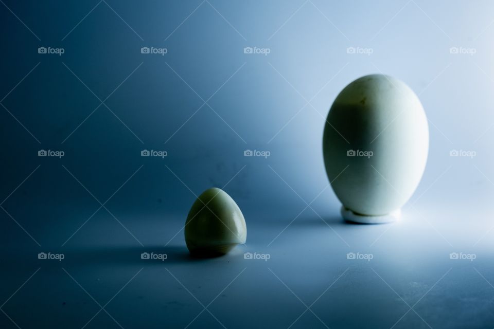 Light and Shadow on egg