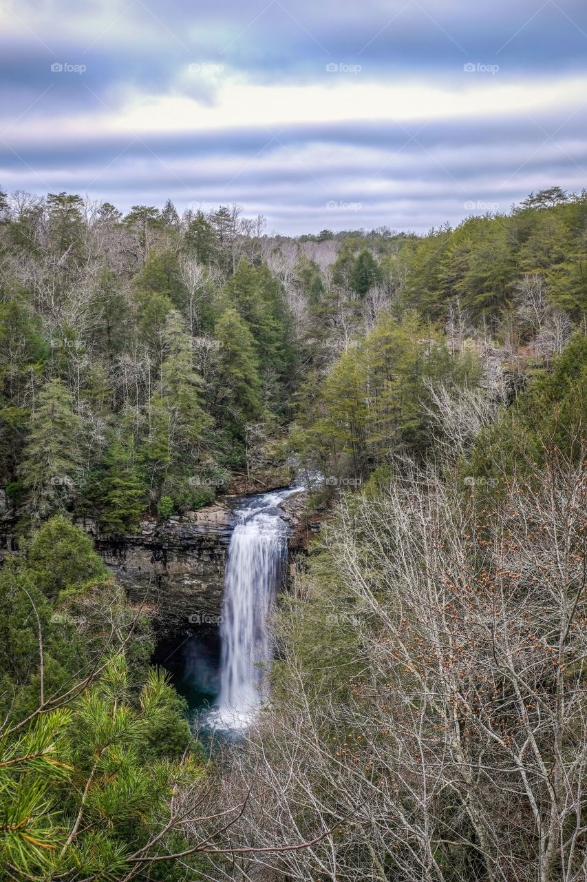 Foster Fall. Tennessee. 