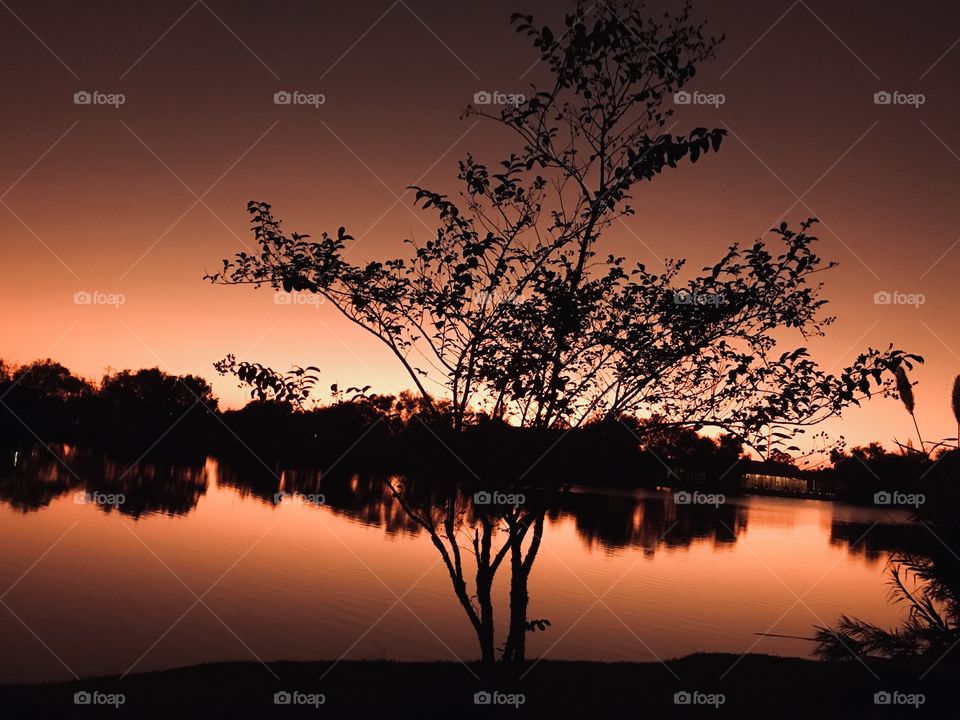 Night is near and steals the show late into the Evening is casting a gorgeous colour which will stay focused even until Darkness & Night. Twilight is deepening as the evening continues.