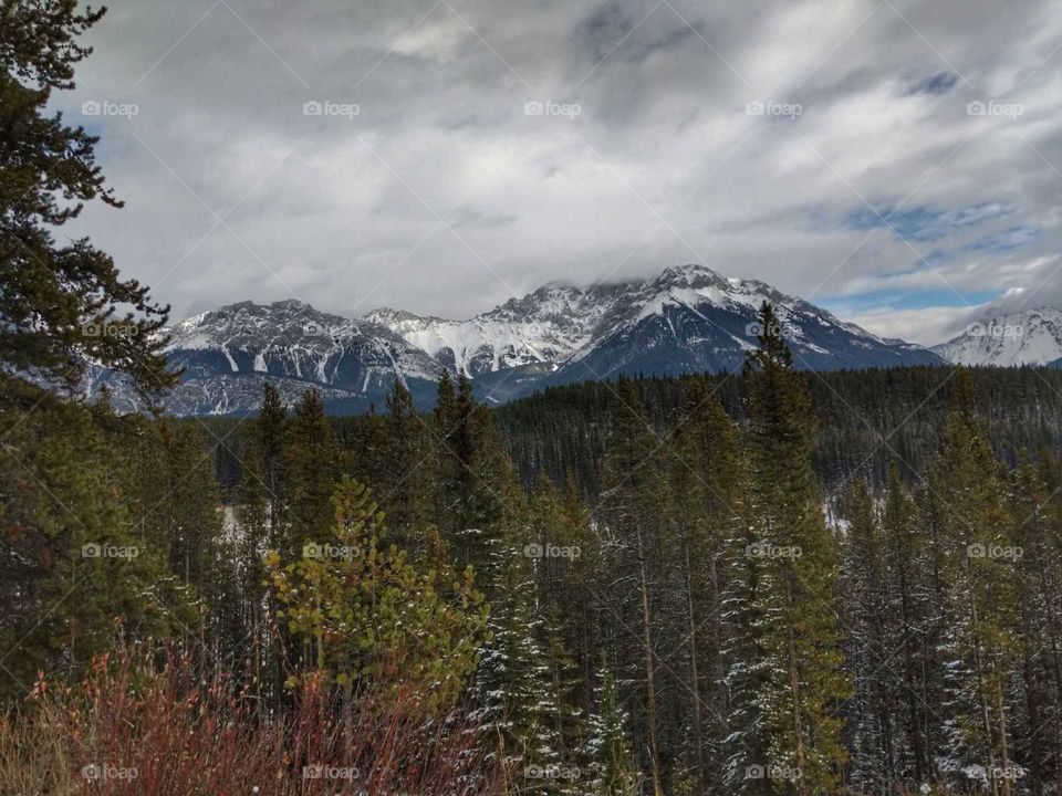 First Autumn Snowfall