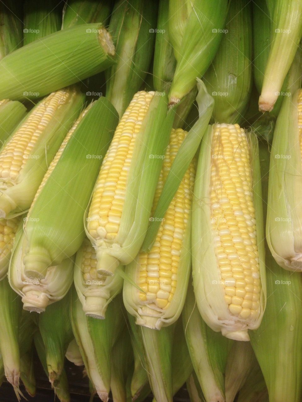 Fresh Corn
