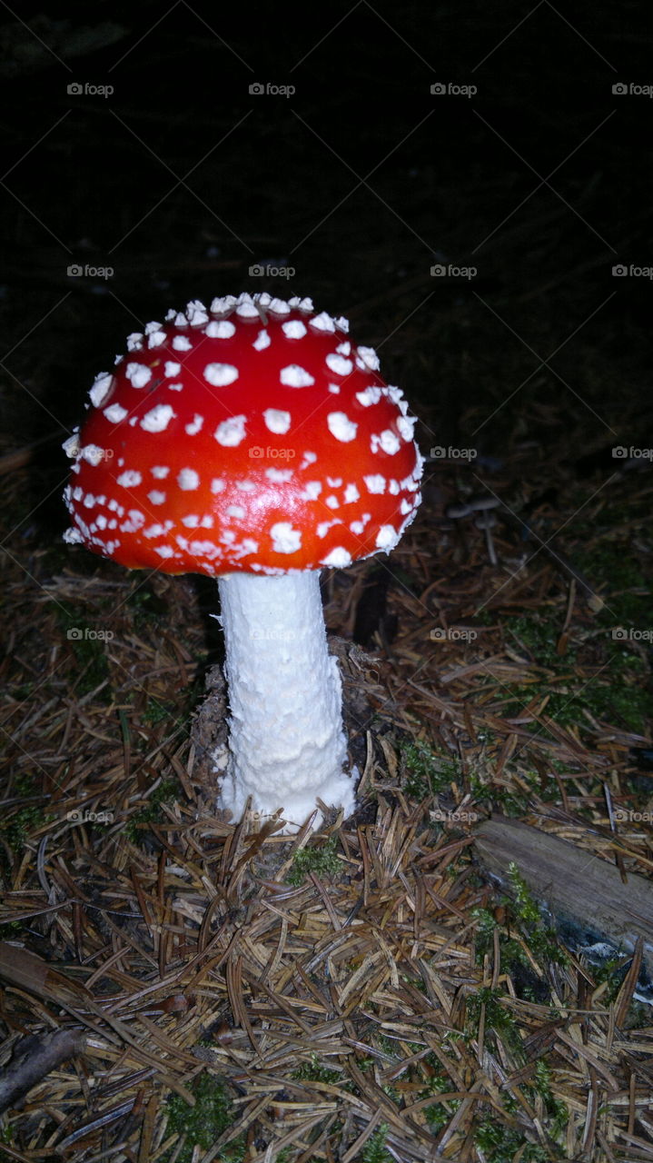 Iam so beautiful, but no one wants to pick me :/