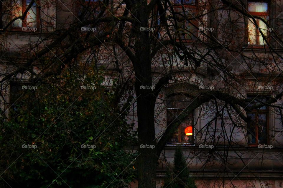 An old sandstone house with bushes and trees shimmering through the illuminated window at dusk